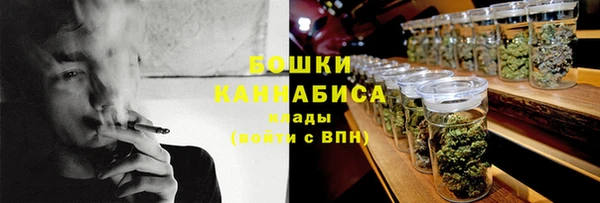 молекула духа Белоозёрский