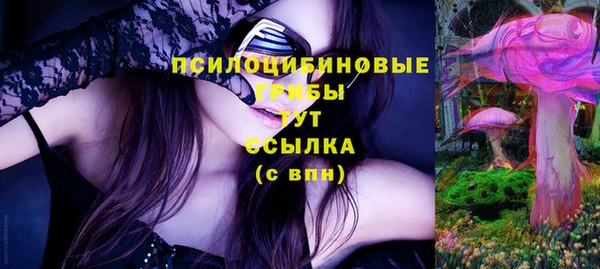молекула духа Белоозёрский