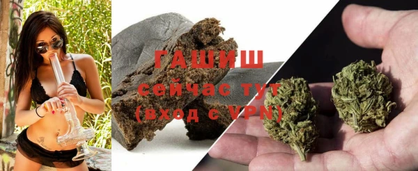 прущие грибы Сясьстрой
